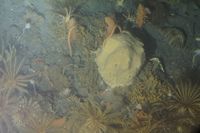 
DSC00271